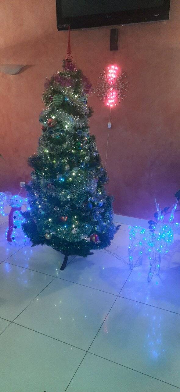 Фото Гостиницы Волга Самара 237