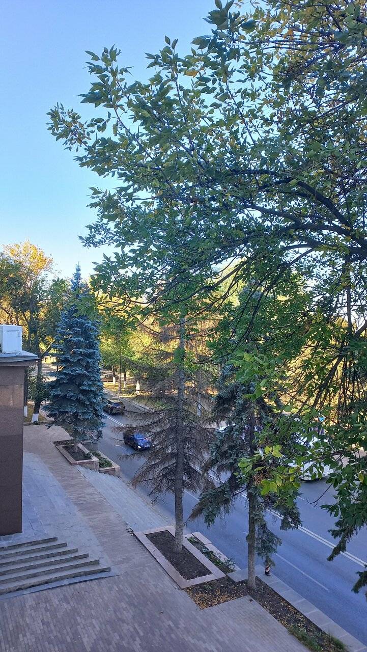 Фото Гостиницы Волга Самара 172