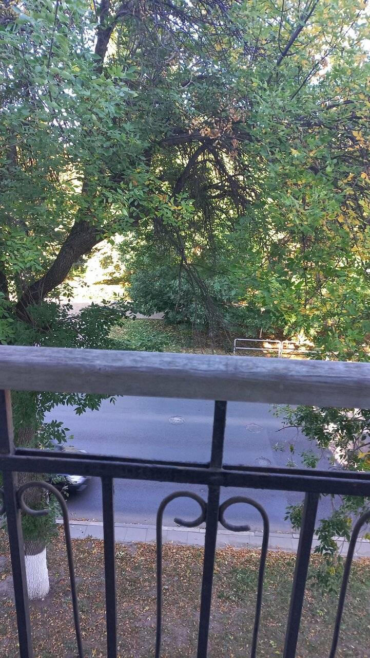 Фото Гостиницы Волга Самара 208